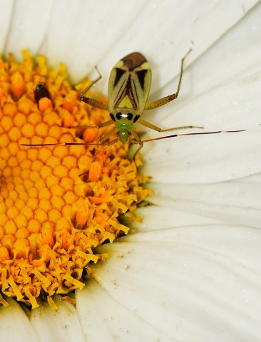 ***
Фотограф: Сергей Буркацкий

Просмотров: 703
Комментариев: 0