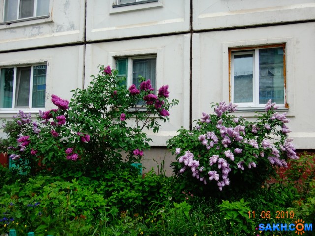 DSC08634

Просмотров: 685
Комментариев: 0