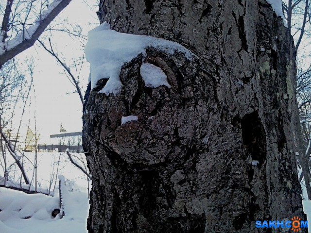 20211231162624

Просмотров: 447
Комментариев: 0