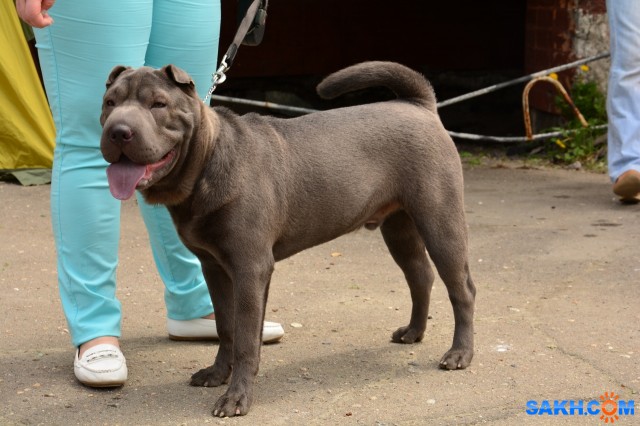 DSC_0018 (1280x853)
Фотограф: Vitus

Просмотров: 411
Комментариев: 0