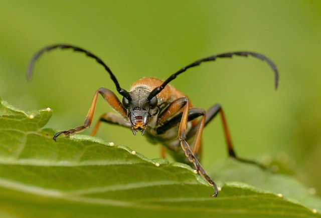 ***
Фотограф: Сергей Буркацкий

Просмотров: 985
Комментариев: 0