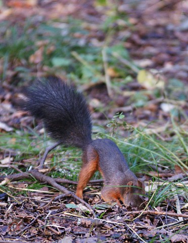 ***
Фотограф: Сергей Буркацкий

Просмотров: 1030
Комментариев: 0