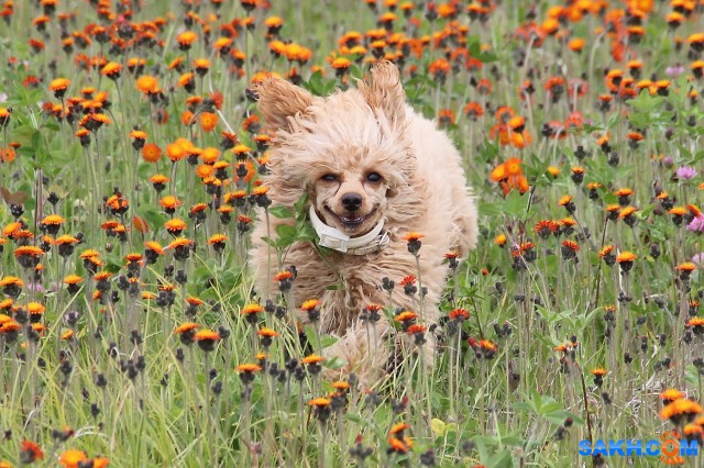 Лето

Просмотров: 818
Комментариев: 3