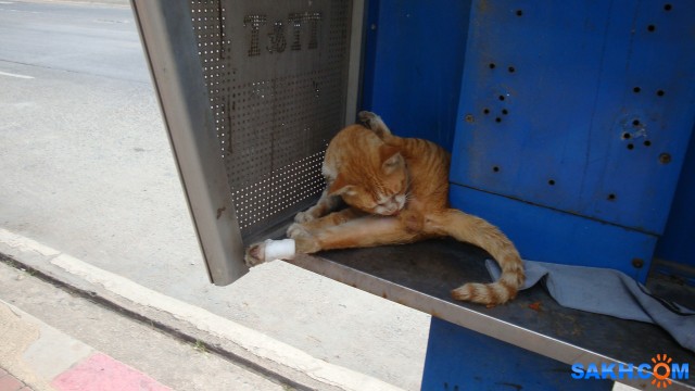 DSC03825

Просмотров: 902
Комментариев: 0