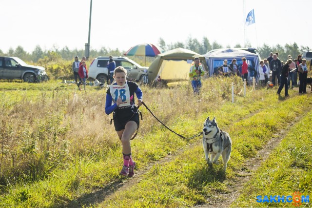 Шустрые лапы - 2014
Фотограф: фотохроник

Просмотров: 382
Комментариев: 1