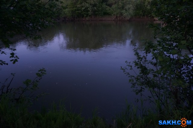 DSC01762
Фотограф: vikirin

Просмотров: 1077
Комментариев: 0