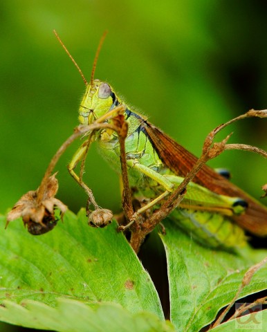 ***
Фотограф: Сергей Буркацкий

Просмотров: 766
Комментариев: 0