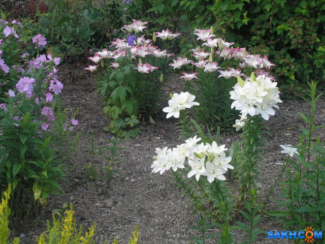 P7312459

Просмотров: 272
Комментариев: 0