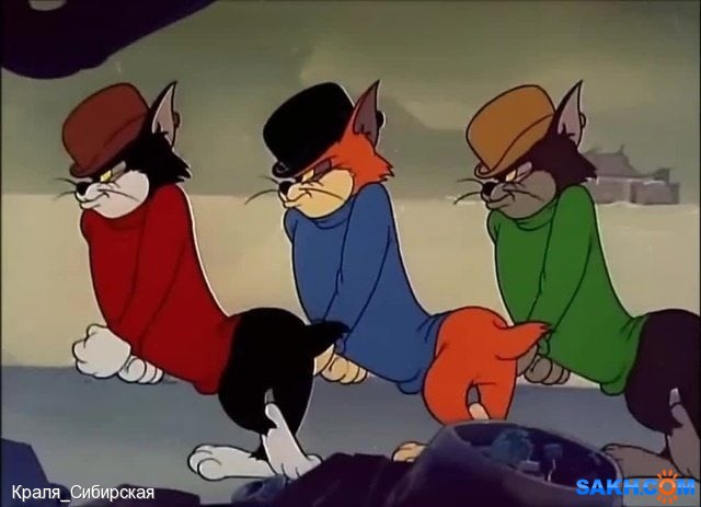 Банда :)))

Просмотров: 168
Комментариев: 0