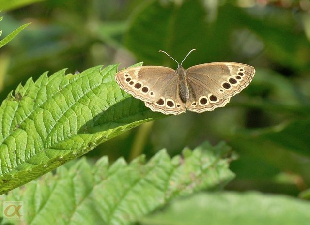 ***

Просмотров: 791
Комментариев: 0