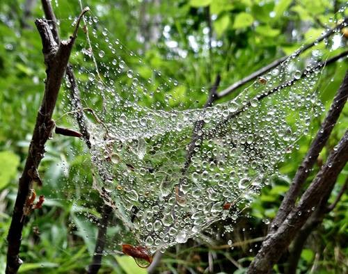 DSC00269
Фотограф: Сергей Буркацкий

Просмотров: 135
Комментариев: 0