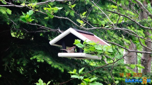 DSC09835

Просмотров: 341
Комментариев: 0