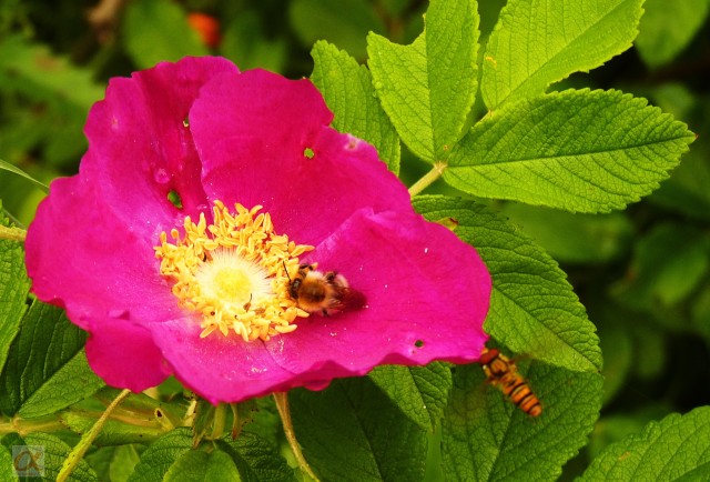 ***
Фотограф: Сергей Буркацкий

Просмотров: 843
Комментариев: 0