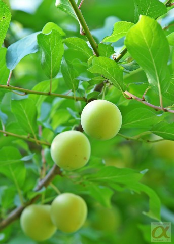 ***
Фотограф: Сергей Буркацкий

Просмотров: 1066
Комментариев: 0