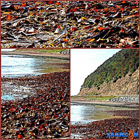 MyCollages_

Просмотров: 140
Комментариев: 0