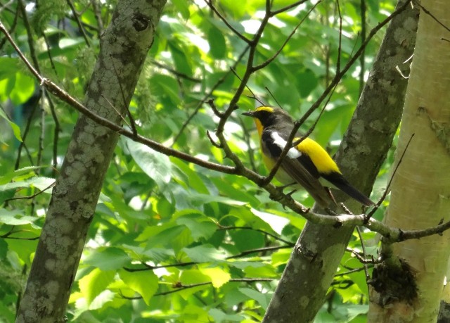 DSC01548
Фотограф: Сергей Буркацкий

Просмотров: 451
Комментариев: 0