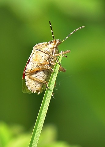 ***
Фотограф: Сергей Буркацкий

Просмотров: 581
Комментариев: 0