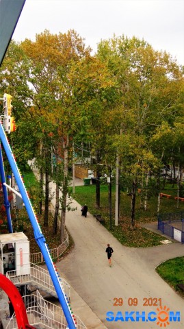 DSC05759
Мне сверху видно всё!

Просмотров: 376
Комментариев: 0