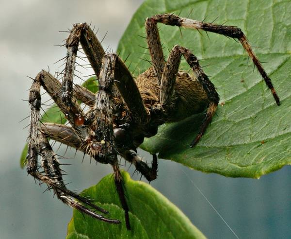 DSC02691
Фотограф: Сергей Буркацкий

Просмотров: 366
Комментариев: 0