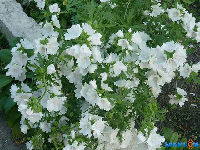 ооо

Просмотров: 575
Комментариев: 0