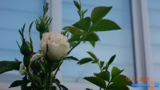 DSC03916

Просмотров: 516
Комментариев: 0