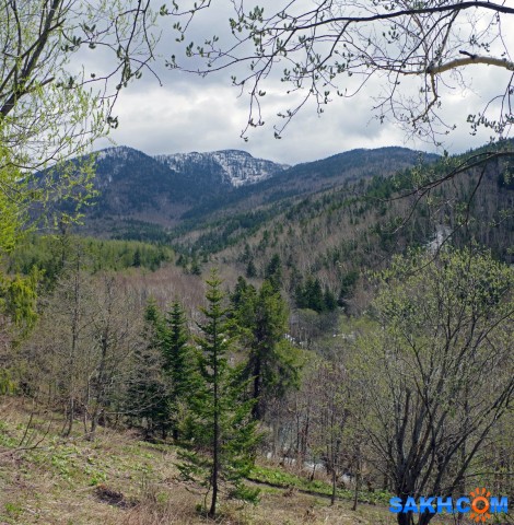 022-пан-к

Просмотров: 967
Комментариев: 0