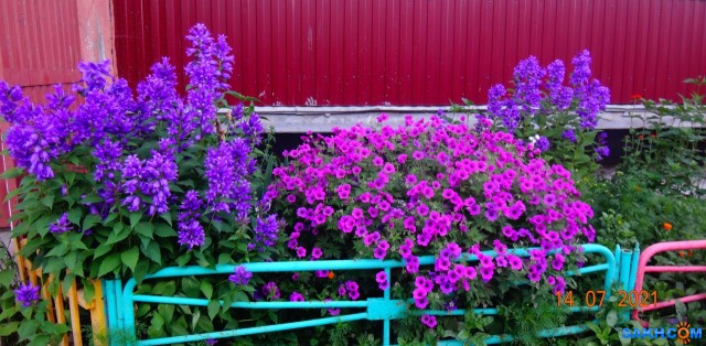DSC03865

Просмотров: 883
Комментариев: 0