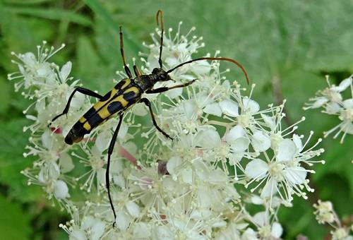 DSC00349
Фотограф: Сергей Буркацкий

Просмотров: 142
Комментариев: 0