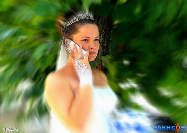 Невеста
Фотограф: gadzila

Просмотров: 2234
Комментариев: 0