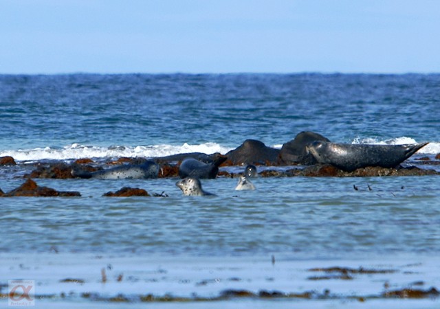 ***
Фотограф: Сергей Буркацкий

Просмотров: 1206
Комментариев: 0