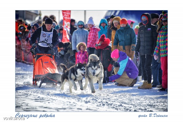 Серьезные ребята
Фотограф: В.Дейкин

Просмотров: 3330
Комментариев: 3