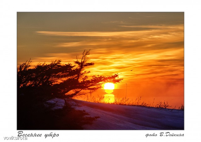 Восход...
Фотограф: В.Дейкин

Просмотров: 2699
Комментариев: 1