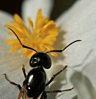 DSC05501
Фотограф: Сергей Буркацкий

Просмотров: 358
Комментариев: 0
