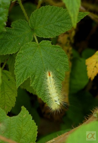 ***
Фотограф: Сергей Буркацкий

Просмотров: 664
Комментариев: 0