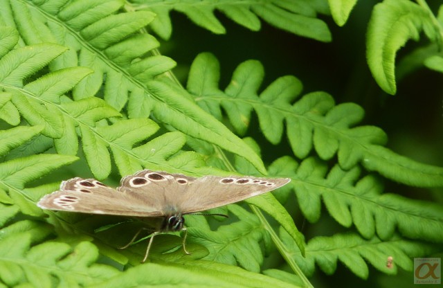 ***
Фотограф: Сергей Буркацкий

Просмотров: 735
Комментариев: 0