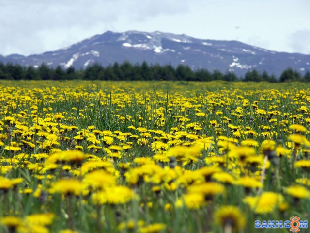 Олимпия 030-1_small

Просмотров: 5616
Комментариев: 0