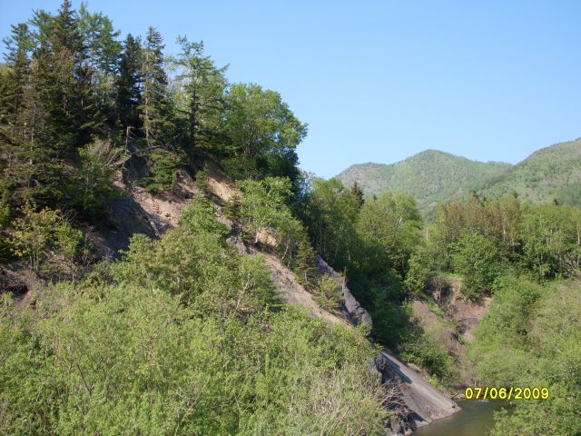 р.Гончаровка
Фотограф: Maricha

Просмотров: 7204
Комментариев: 0