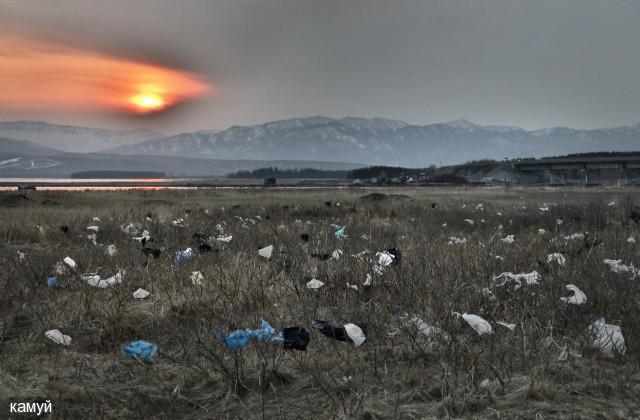 Весенний сюжет в районе р.Найбы.