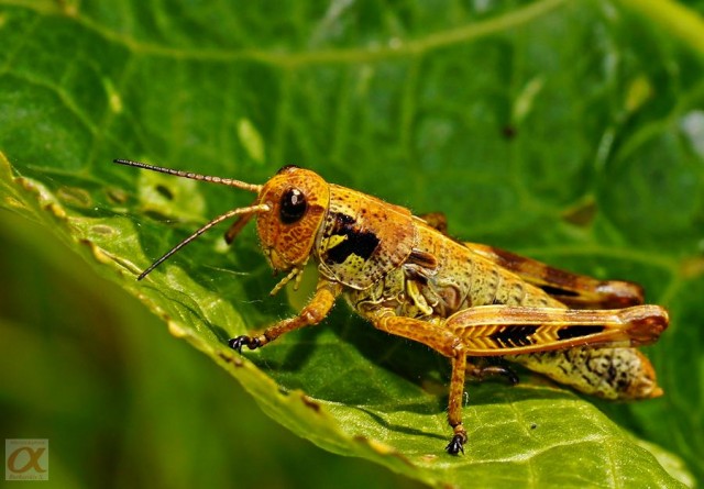 ***

Просмотров: 677
Комментариев: 0