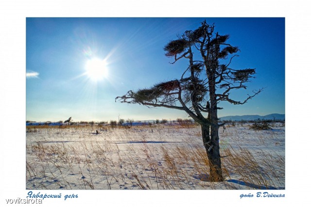 Январский день
Фотограф: В.Дейкин

Просмотров: 2724
Комментариев: 0