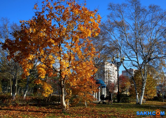 013-к

Просмотров: 610
Комментариев: 0