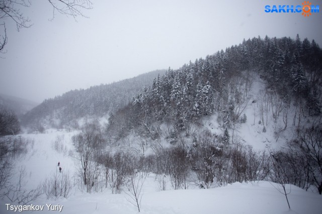 Эх метелька начинается....
Фотограф: Tsygankov Yuriy

Просмотров: 490
Комментариев: 0