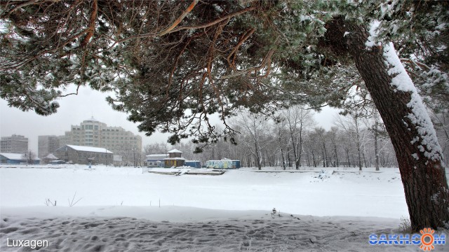 Под деревом - зонтиком.