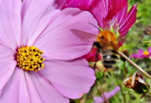 DSC03663
Фотограф: Сергей Буркацкий

Просмотров: 520
Комментариев: 0