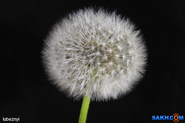 IMG_2159
Фотограф: NIK
Готов противостоять ветру

Просмотров: 677
Комментариев: 0