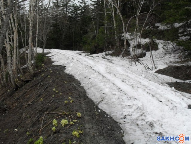 2012-05-09 Дорога на Чеховский перевал

Просмотров: 1220
Комментариев: 0