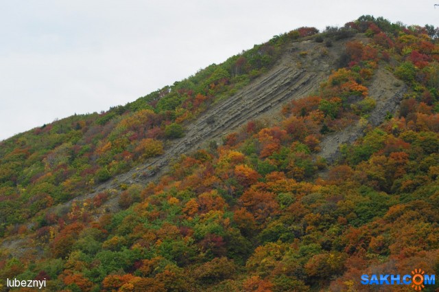 DSC07589
Фотограф: NIK
Осень однако

Просмотров: 462
Комментариев: 0