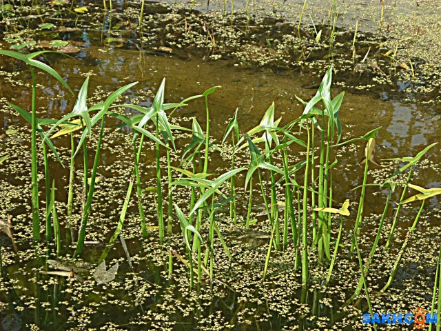 P1210810

Просмотров: 372
Комментариев: 0