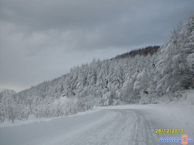 А лес стоит загадочный...
Фотограф: Maricha

Просмотров: 6795
Комментариев: 0