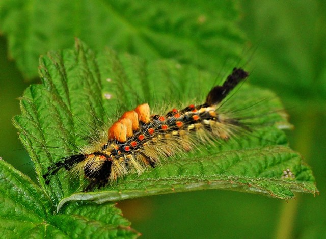 ***
Фотограф: Сергей Буркацкий

Просмотров: 534
Комментариев: 0